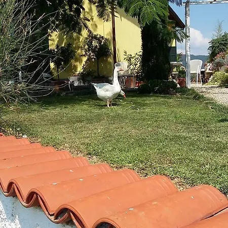 Anna Guest house *