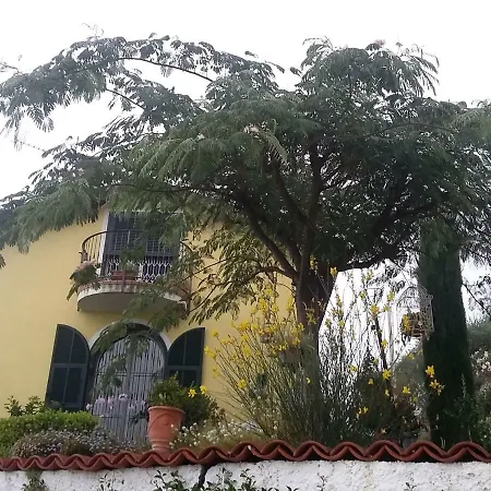 Anna Guest house